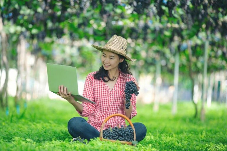 Strategi Pemasaran Produk UMKM Desa dengan Teknologi Digital